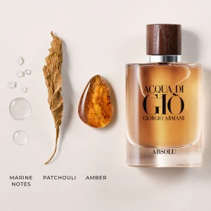 Giorgio Armani Acqua Di Gio Absolu